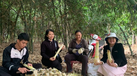 Hơmĕng mŭk drăm rơgoh đơ̆ng tơm kram tơ̆ tơring teh kơnê̆ Đắk Lắk
