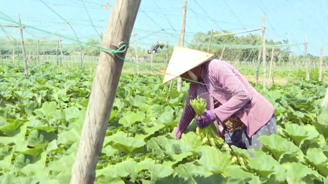 ពត៌មាន​ម៉ោង៦