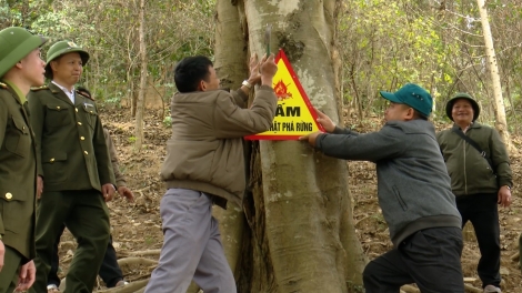 Nênhs jông uô hâux lưv jông hnuz 9-4-2026