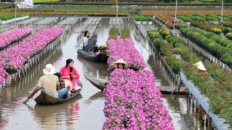 ខេត្តដុងថាបគួបផ្សំរវាងទិដ្ឋភាពបៃតង និងឌីជីថុល ដើម្បីលើកកំពស់ផលិតផលទេសចរណ៍។