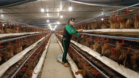 Lầy tzình phát sinh ìu miền vả hoi 14.4.2026