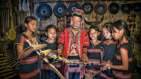 Chim cheh pu (Chim làm tổ) 