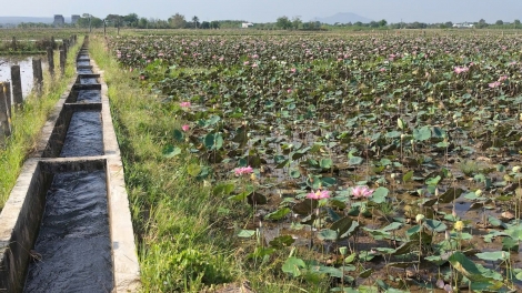 Pêt reăng sen hlối pro ôm hyô kô pro pơxúa ăm liăn tơkâ péa tơdroăng ăm kuăn pơlê pêi chiâk