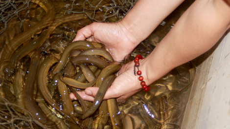 RAONG LANUNG DALAM DANAO SIMANG DAONG URANG NGAK NONG DUAH JIEN TIK 
