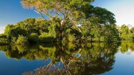 Danak dak sap Cam 10_04_2026