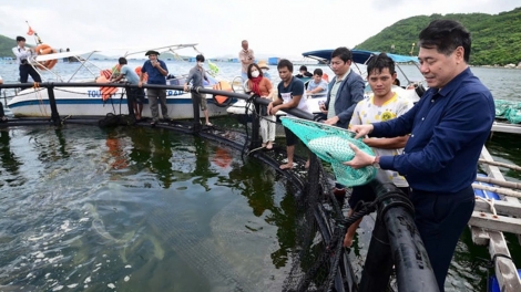 Khánh Hòa pơih trong jang rong dơsĭ, hơtŏk jang ka kơjăp sơđơ̆ng 