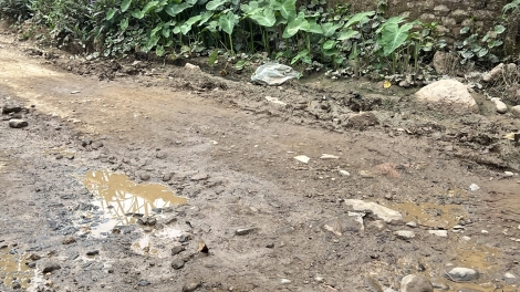Tìu chào tầu ziêm pờ đống phường Trung Tâm, Lào Cai xanhz lùng hóng bez bung, tùi buỷng tống biẻng