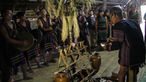 Sền gàr ƀòn lơgar