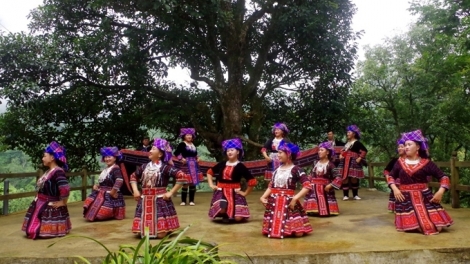 Tsaz yênhx nta suôz luk Hmôngz hnuz 19-4-2026