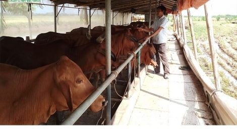 Ngon tô thứ 3 mự 14 căm bườn 4 pì 2026: Luông pùn chự phong phạ đét họn hẳư pưng ngua quai, pết cáy