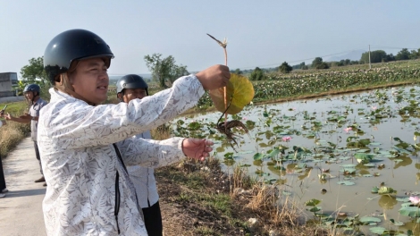Pla mnga krih mguôp hŏng bruă hiu čhưn ênguê srăng ba wĭt klei tŭ dưn mdua kơ mnuih ngă lŏ hma