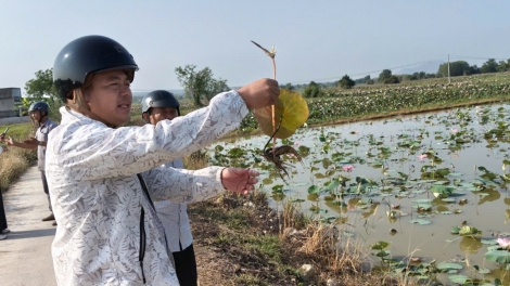 Pơtăm hrou atŭm hăm jang tơmang pơhiơ̆ pơjing đei jang sa iŏk yoa kơjăp ăn kon pơlei
