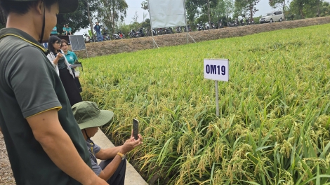 ពត៌មាន​ម៉ោង១៥