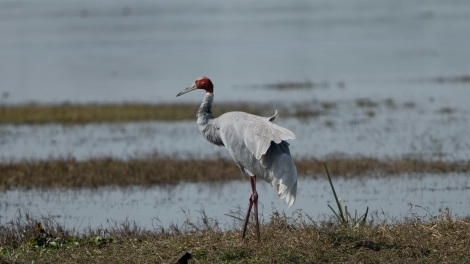 Sem Sơng hăm Kiĕk