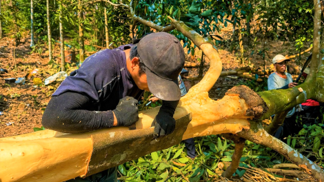 QUẢNG NGÃI: R’RỘ R’RĂM HÂN NOO LOÓ N’CĂR QUẾ