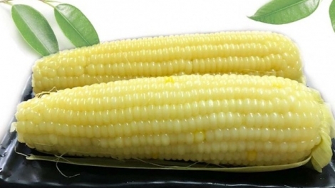 KIN BẮP LẦNG ĂN VẰN ĐÂY LỤ BẤU? 