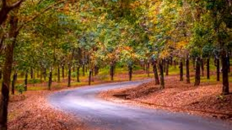 Danak dak sap Cam 24_04_2026