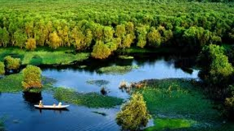 Danak dak sap Cam 09_04_2026