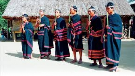 Chim cheh pu (Chim làm tổ)