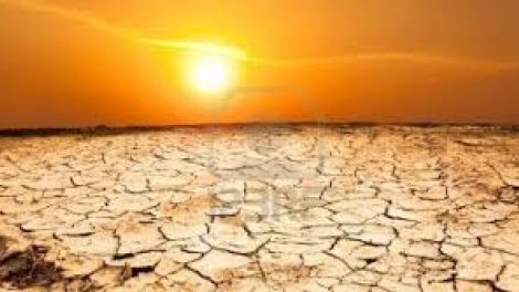 Danak dak sap Cam 06_04_2026