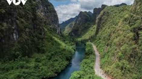 Danak dak sap Cam 16_04_2026