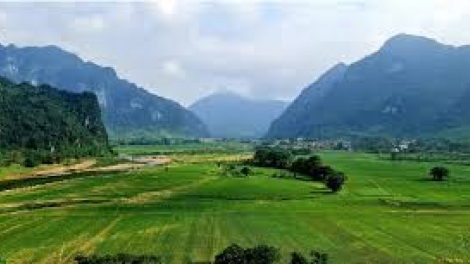 Danak dak sap Cam 20_04_2026