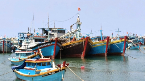 Lâm Đồng pơjing Khul pơm jang vă tơjră hăm rôp you IUU 