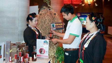 PHÚ THỌ: PỬA BẠI THÌNH CÚA OCOP CÁP XÁU TÀNG TỎN RẲP KHÉC THÂNG DƯƠNG CHỒM LỈN LIỂU