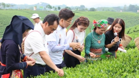 ĐẢNG VIÊN DÚ KHA BẢN SLẮNG CẠ PỈ NOỌNG HẾT NÈM BẠI TÀNG LỎ CÚA PẠNG NƯA