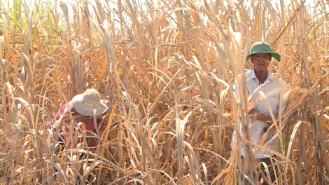 TƠỢ NANG ATAO RĂNG GOOH COH ĐẮK LẮK TƯỚC OOY ĐHR’NĂNG TR’ZENG ÂNG NHÀNH ATAO ĐƯỜNG