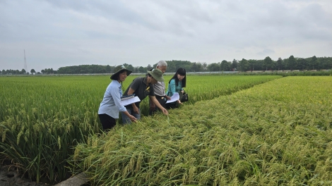 ពត៌មាន​ម៉ោង៦