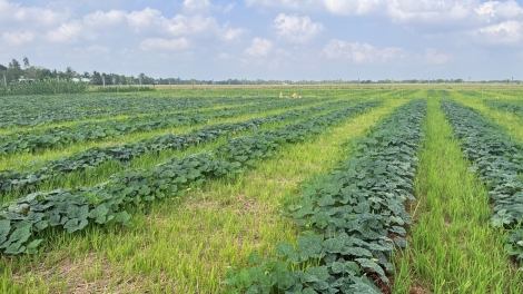 ពត៌មាន ម៉ោង ១៥