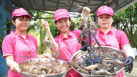 ពត៌មាន ម៉ោង​ ៦