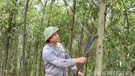 BÍ THƯ CHI BỘ BẢN TỨN HUA HẾT CHÀU