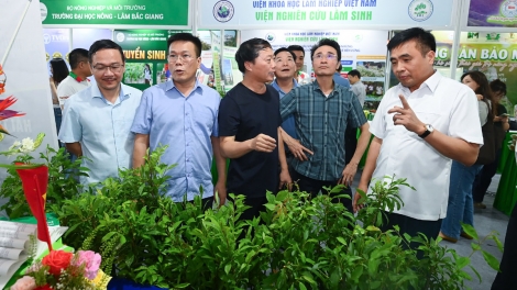 Chương trình phát thành quam Tay thứ 2 mự 4 căm bườn 5 pì 2026	