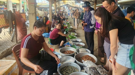 Độc đáo chợ côn trùng Nà Si: “Món lạ” níu chân du khách tới Tây Bắc