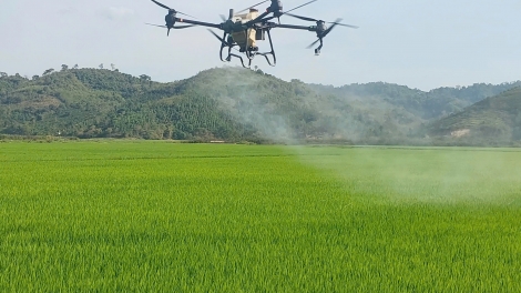 Kon pơlei Đắk Lắk hơtŏk ‘lơ̆ng găr phe