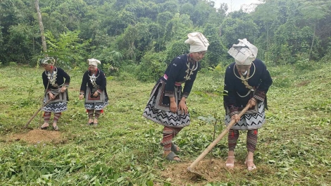Tạo sinh kế bền vững cho đồng bào vùng cao Thái Nguyên