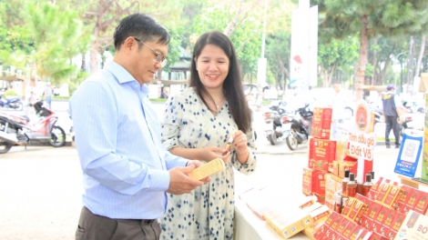 Ing kơchơ pơlê troh mơdró tung điê̆n tưh, tơmeăm pêi lo ing chiâk deăng Gia Lai hiăng kơneăng troh hơngế