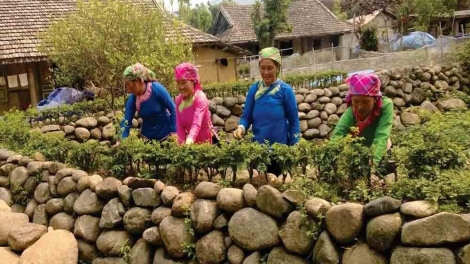 Giữ hồn văn hóa nơi đại ngàn Lai Châu