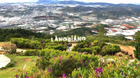 Hoa Lang Biang 