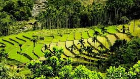 Danak dak sap Cam 07_05_2026