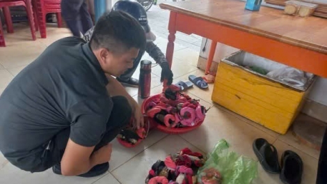 NẮM SLE MÌ VIỂC KHAI PU PJÀNG MJẠP DÚ BÚNG LỈN LIỂU ĐỒ SƠN, HẢI PHÒNG