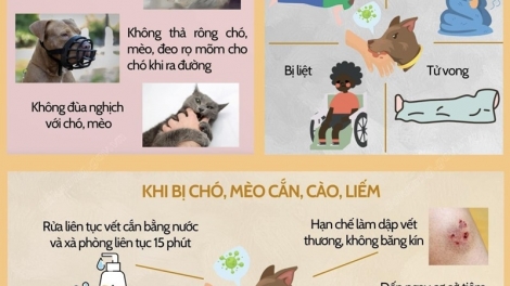 Muống tài phanz khzuất pẻnh pút đin ziêm thóng chom zúa