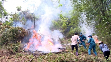 Ngon tô thứ 2 mự 11.5.2026 – Tiện tô cắp lung Hoàng Văn Học, Phó Chủ tịch UBND xã Mương Giôn, tỉnh Sơn La ma tang chự phong phay mảy pá cuồng mua lạnh lau