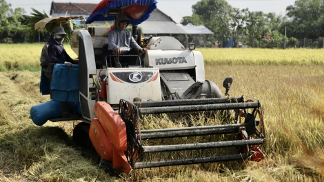“Kàl tơnhào” tàm tiah dà tih dà cò uă càr Dăk Lăk