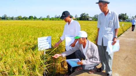 កសិកម្មមានកំណើនពីរខ្ទង់៖ មិនមែនគ្រាន់តែដេញតាមបរិមាណផលិតកម្មនោះទេ។