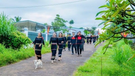 Bóng cây Kơnia