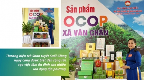 PỈ NOỌNG DÚ BÚNG SLUNG TÂY BẮC AU TRÀ VẠ BẠI THÌNH DA KHAI KHAI PÂY NẶM MƯỜNG NOỎC