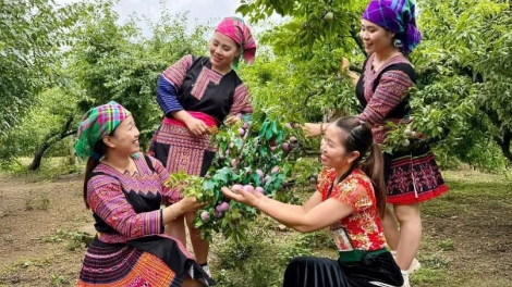 CHƯƠNG TRÌNH KHAY HENG TÀY - NÙNG  (Chủ nhật, vằn 24/5/2026)